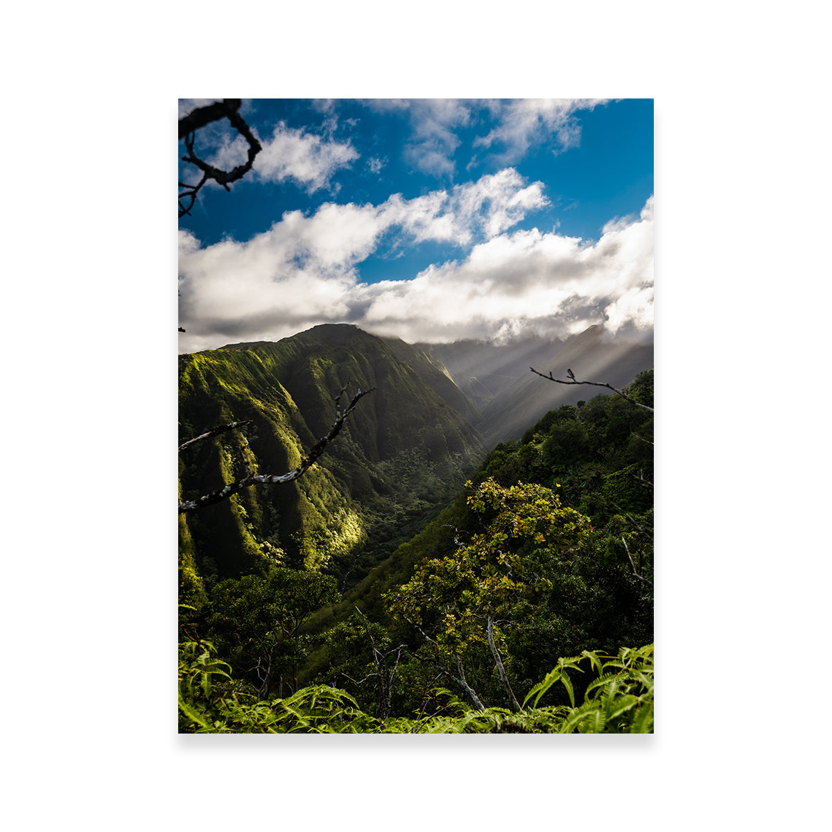 Maui Landscape Wall Art
