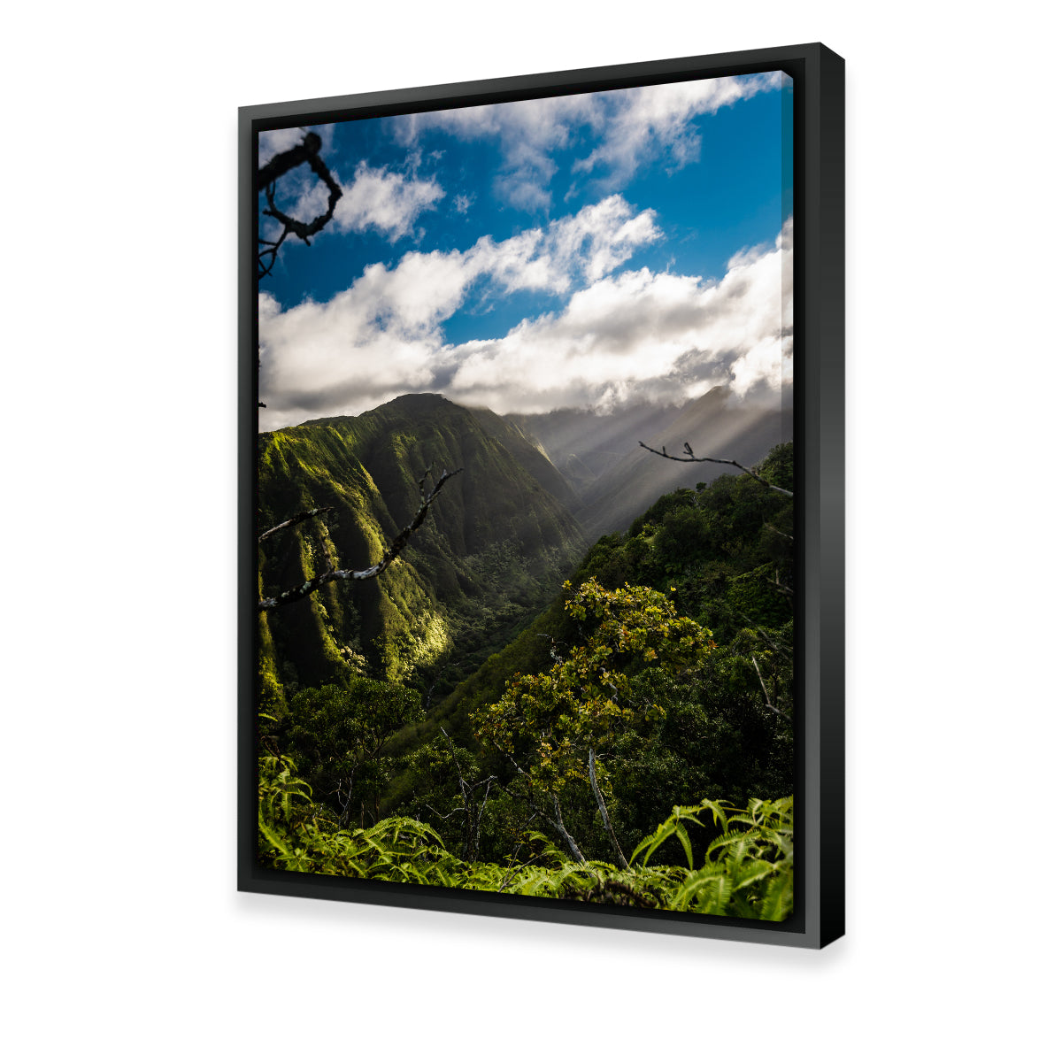 Maui Landscape Wall Art