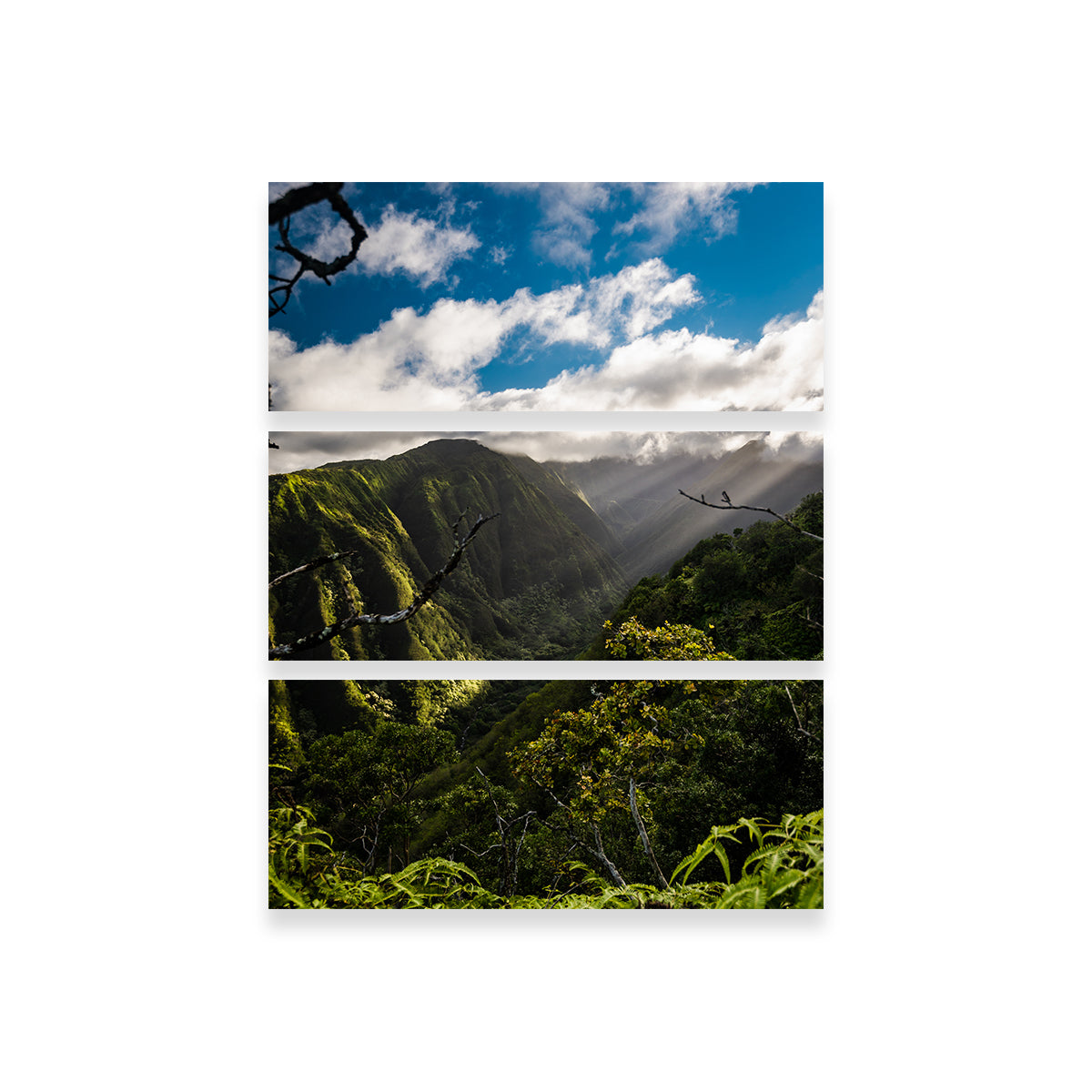 Maui Landscape Wall Art
