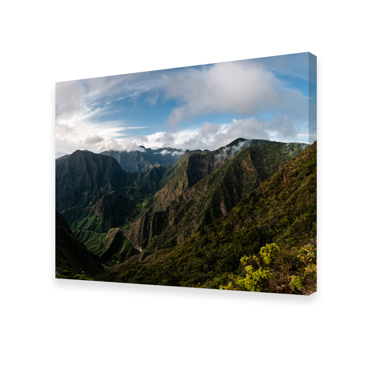 Maui Valley Panorama Wall Art