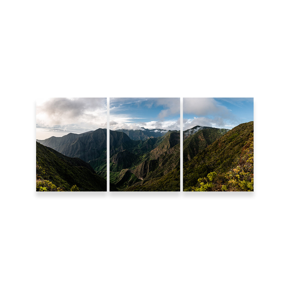 Maui Valley Panorama Wall Art