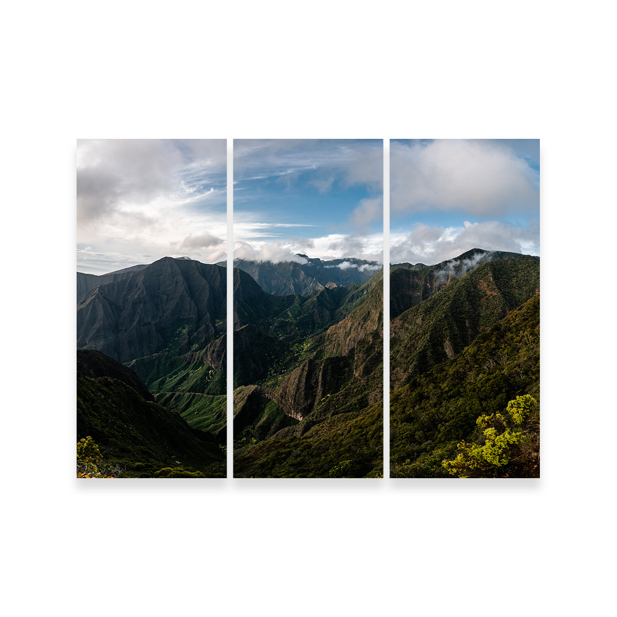 Maui Valley Panorama Wall Art