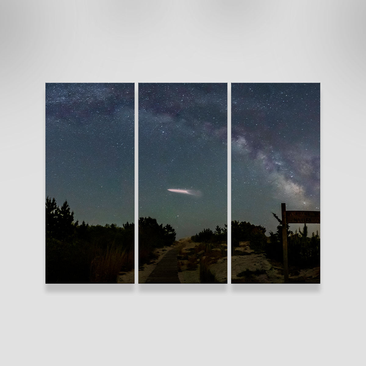 Milky Way and SpaceX Wall Art