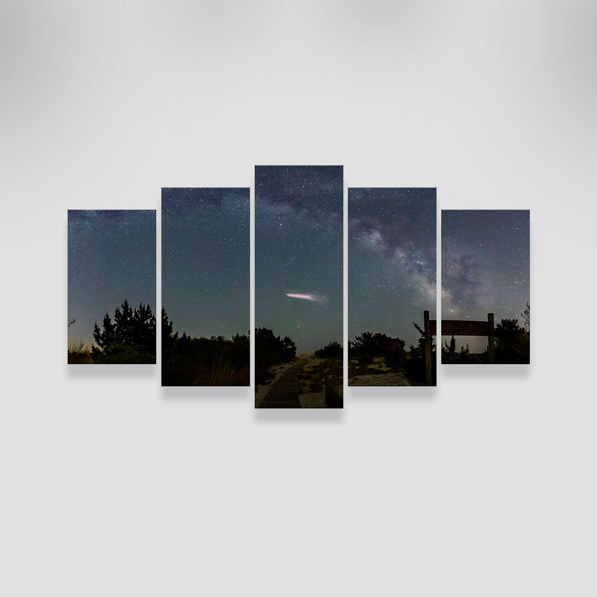 Milky Way and SpaceX Wall Art