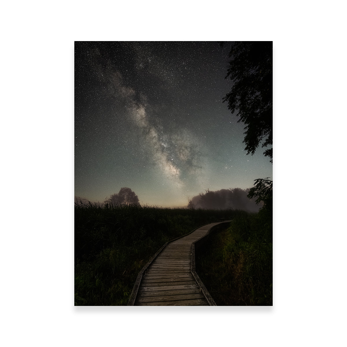 Milky Trails