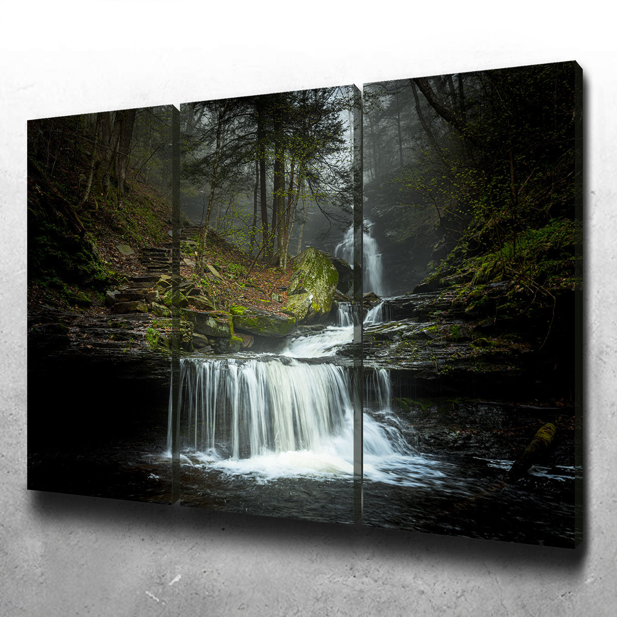 Misty Steps Wall Art