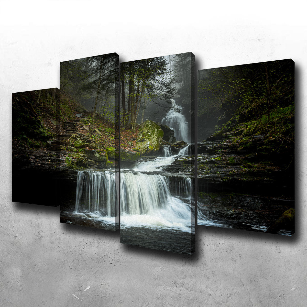 Misty Steps Wall Art