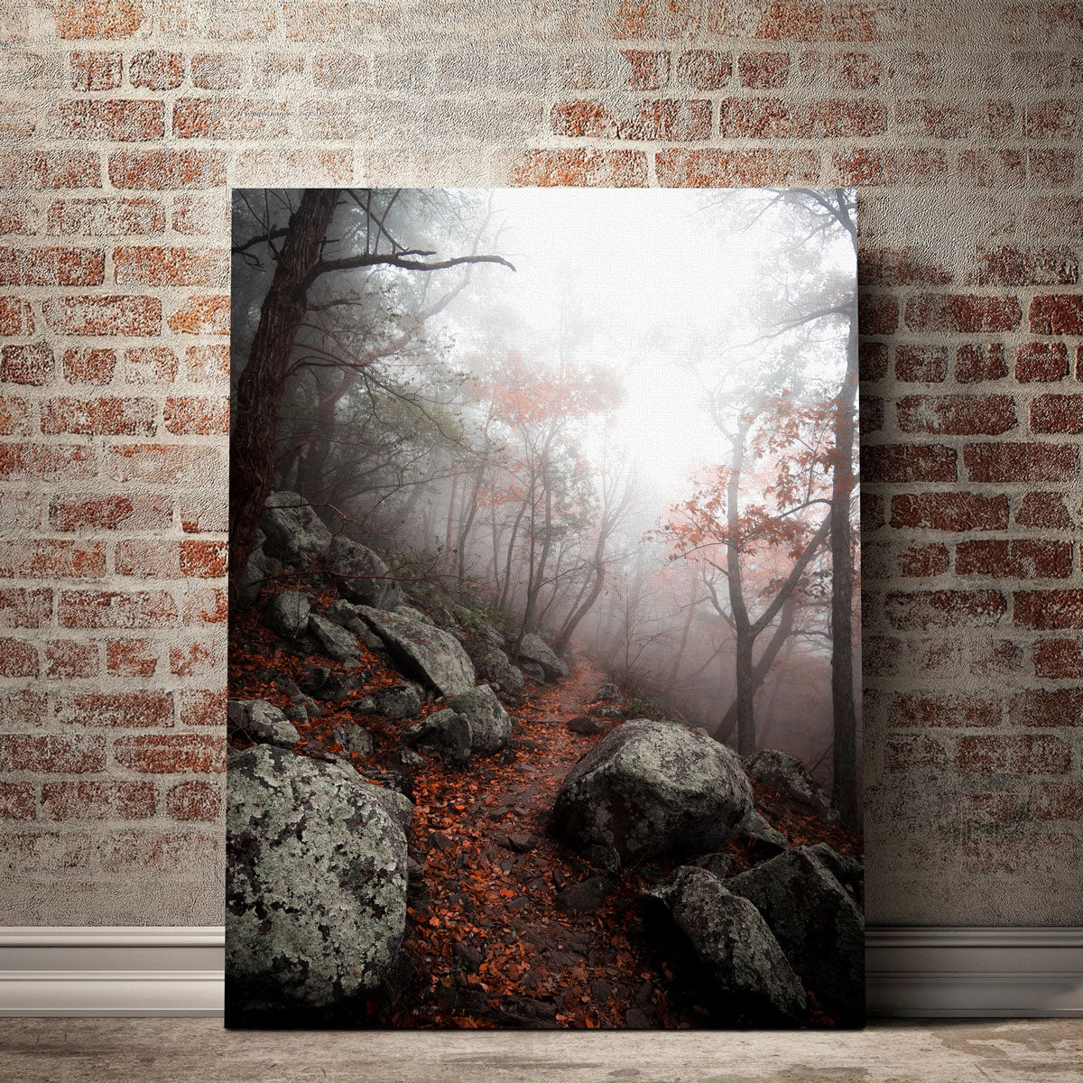 Moody Forest Wall Art