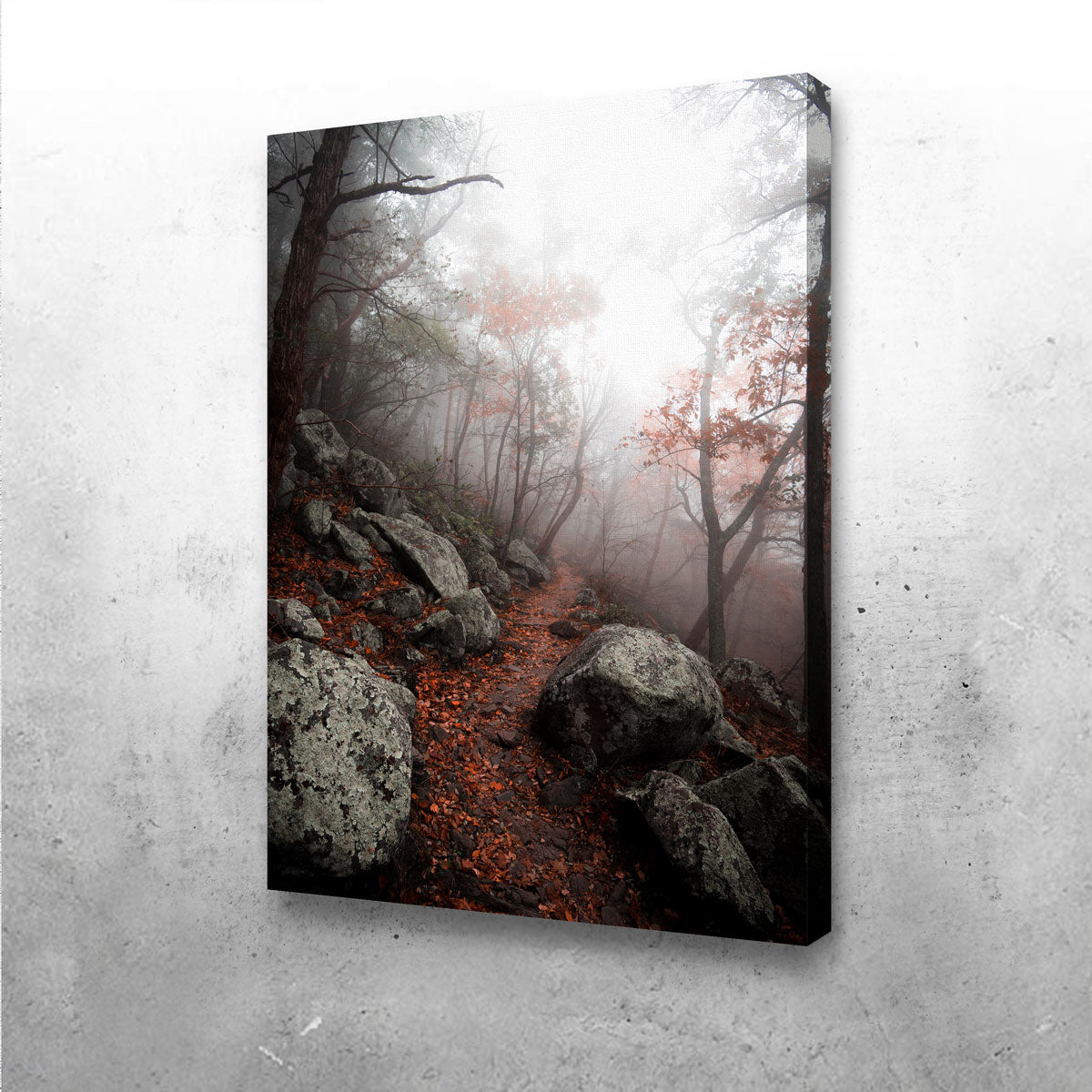 Moody Forest Wall Art