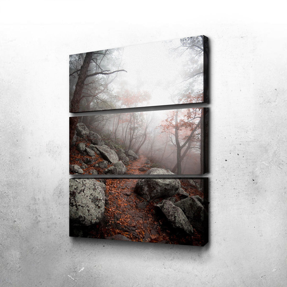 Moody Forest Wall Art