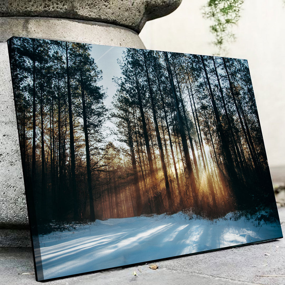 Morning Light Wall Art