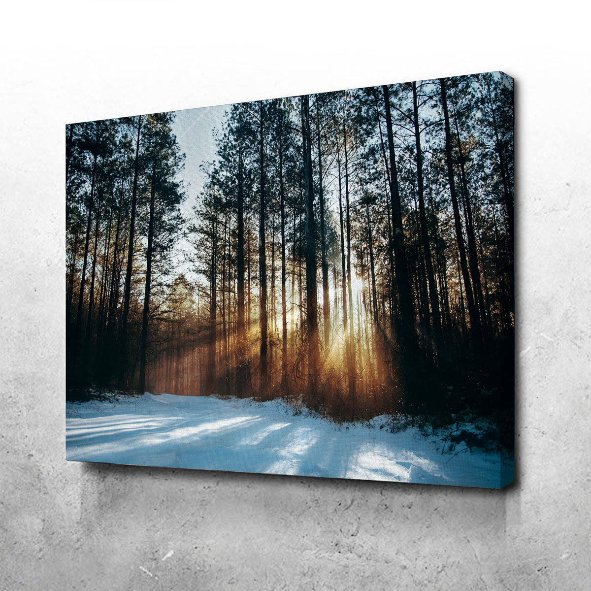 Morning Light Wall Art