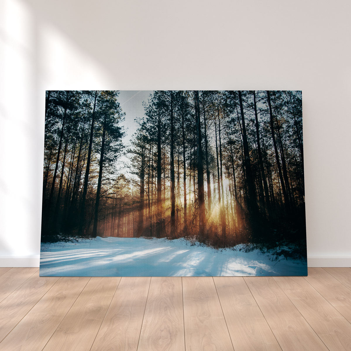 Morning Light Wall Art