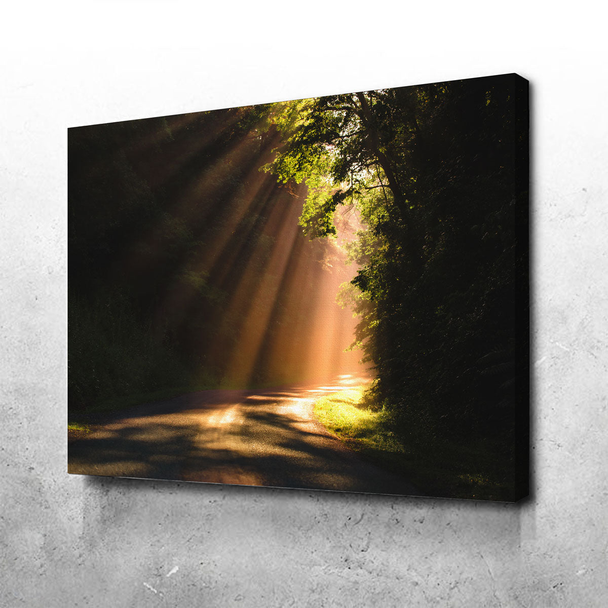 Morning Rays Wall Art