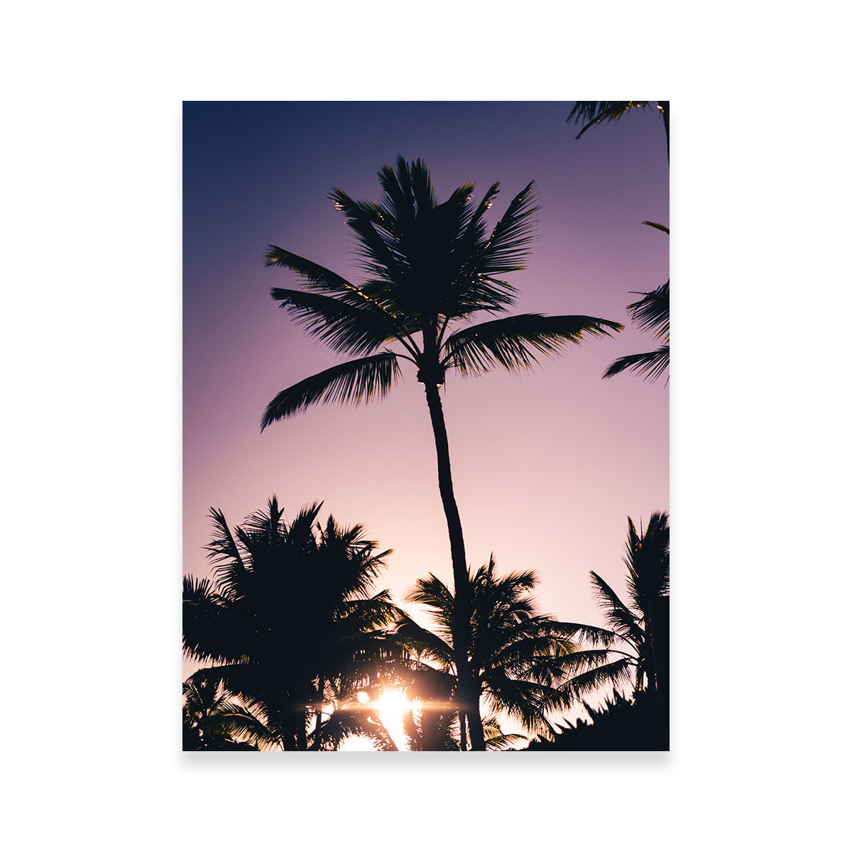 Morning Colors Wall Art
