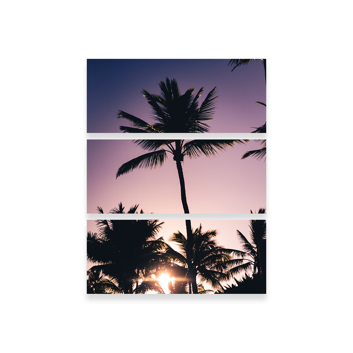Morning Colors Wall Art