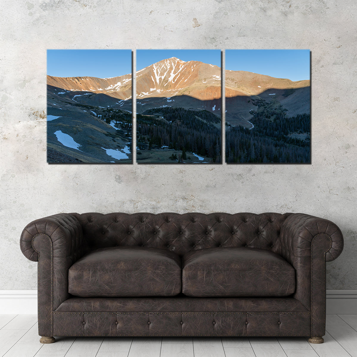 Mount Antero Wall Art