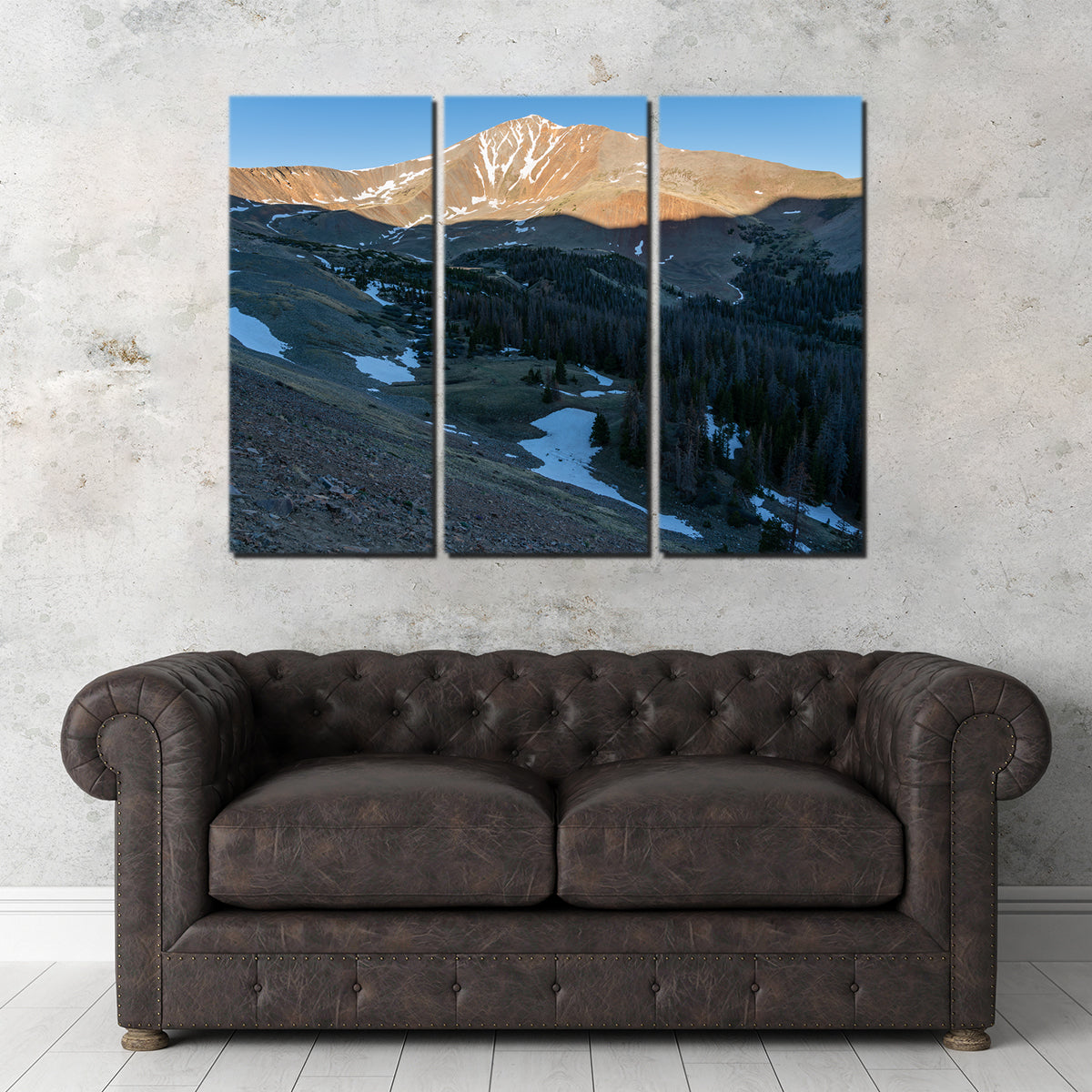 Mount Antero Wall Art