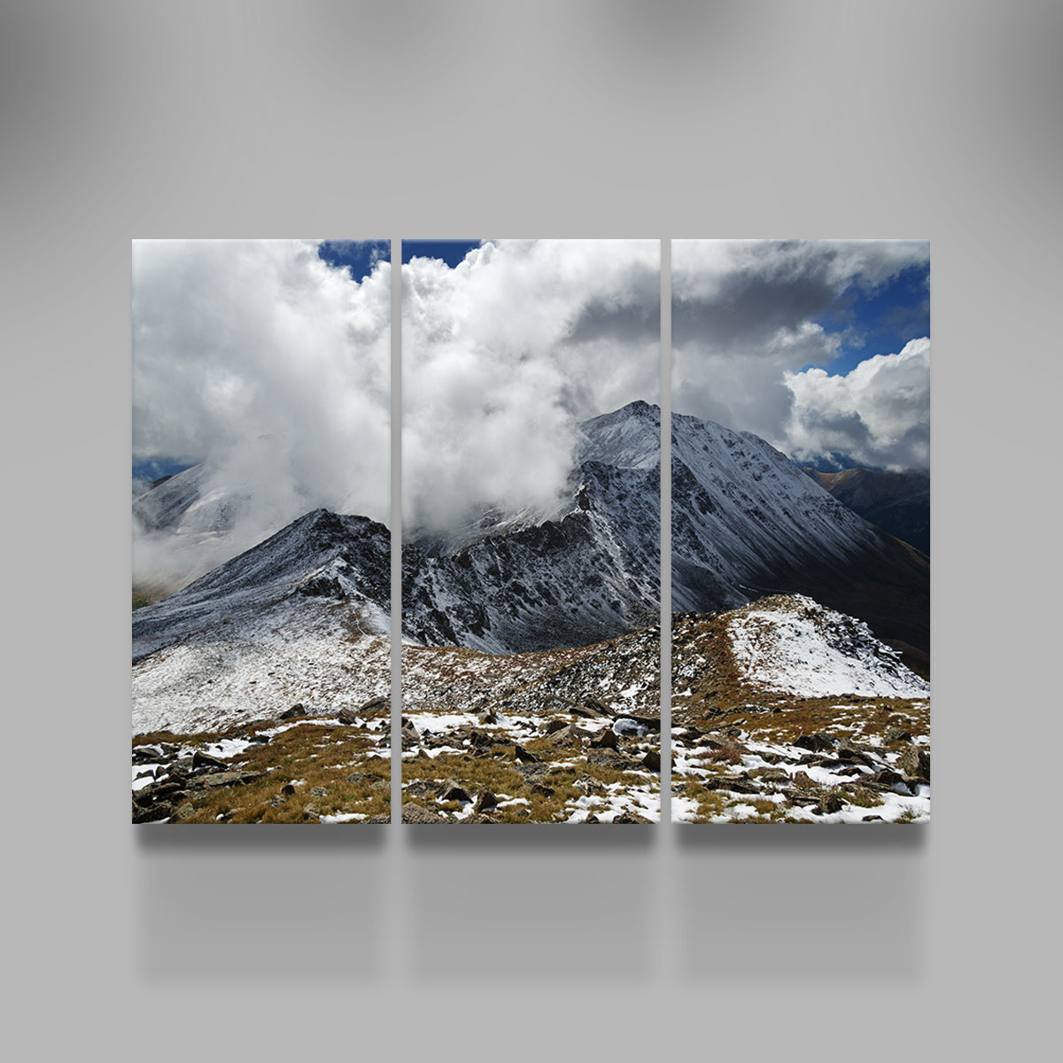 Mount Columbia Wall Art