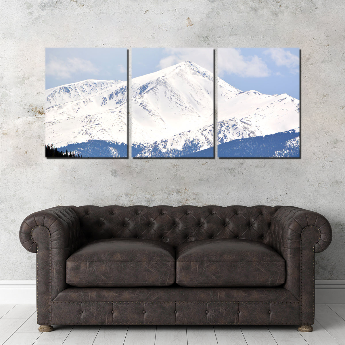 Mount Elbert Wall Art