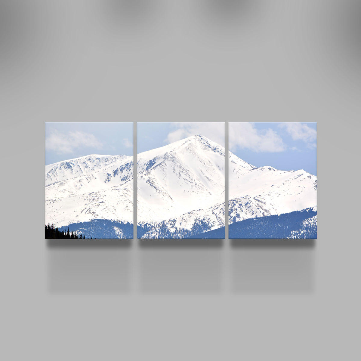 Mount Elbert Wall Art