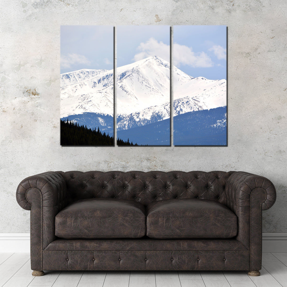 Mount Elbert Wall Art