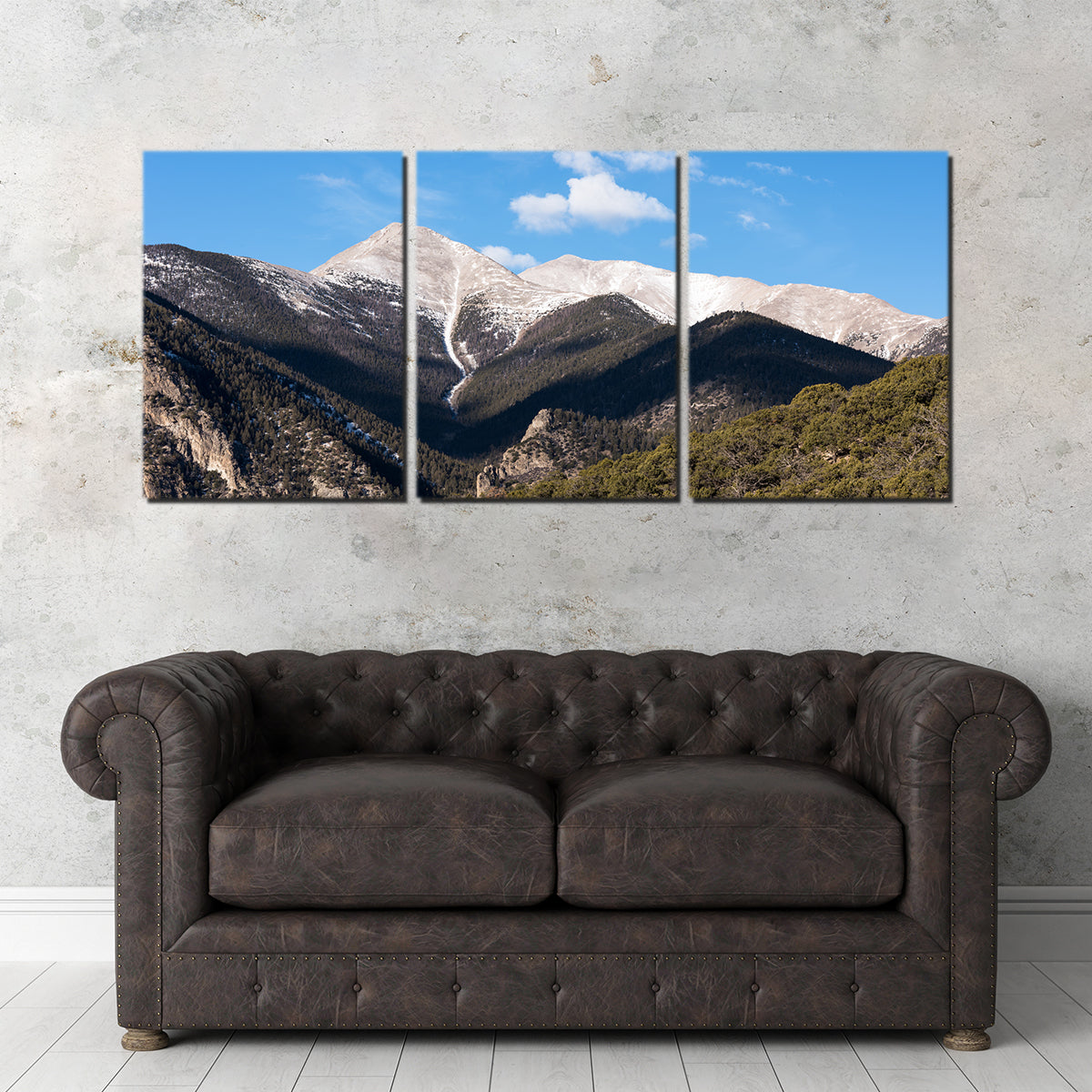 Mount Princeton Wall Art