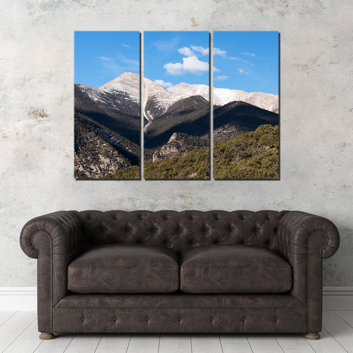 Mount Princeton Wall Art