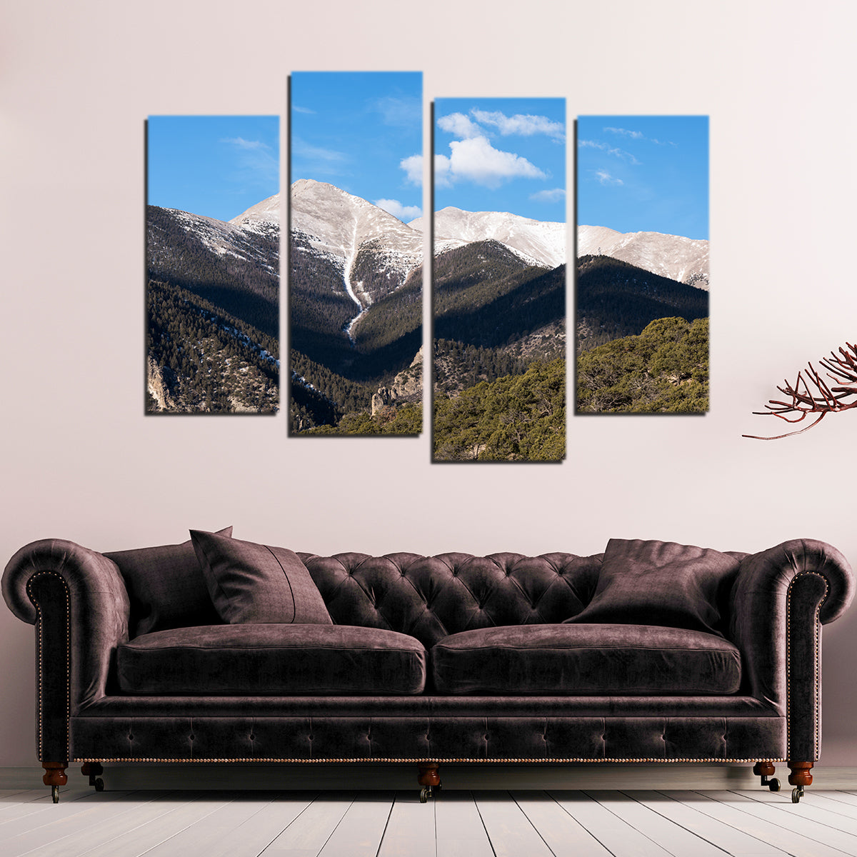 Mount Princeton Wall Art