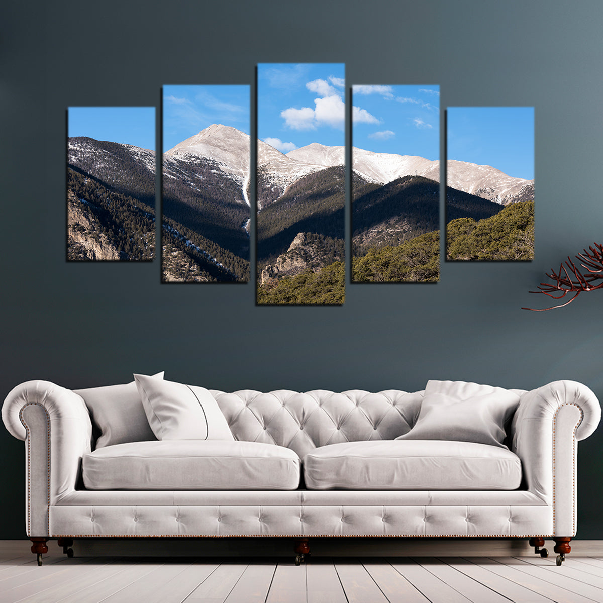 Mount Princeton Wall Art