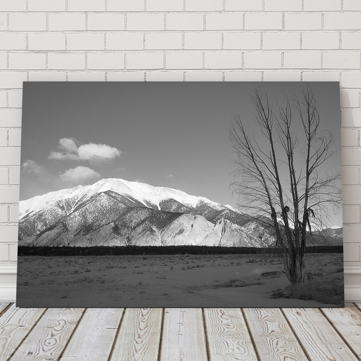 Mt. Princton black and white buy Canvas