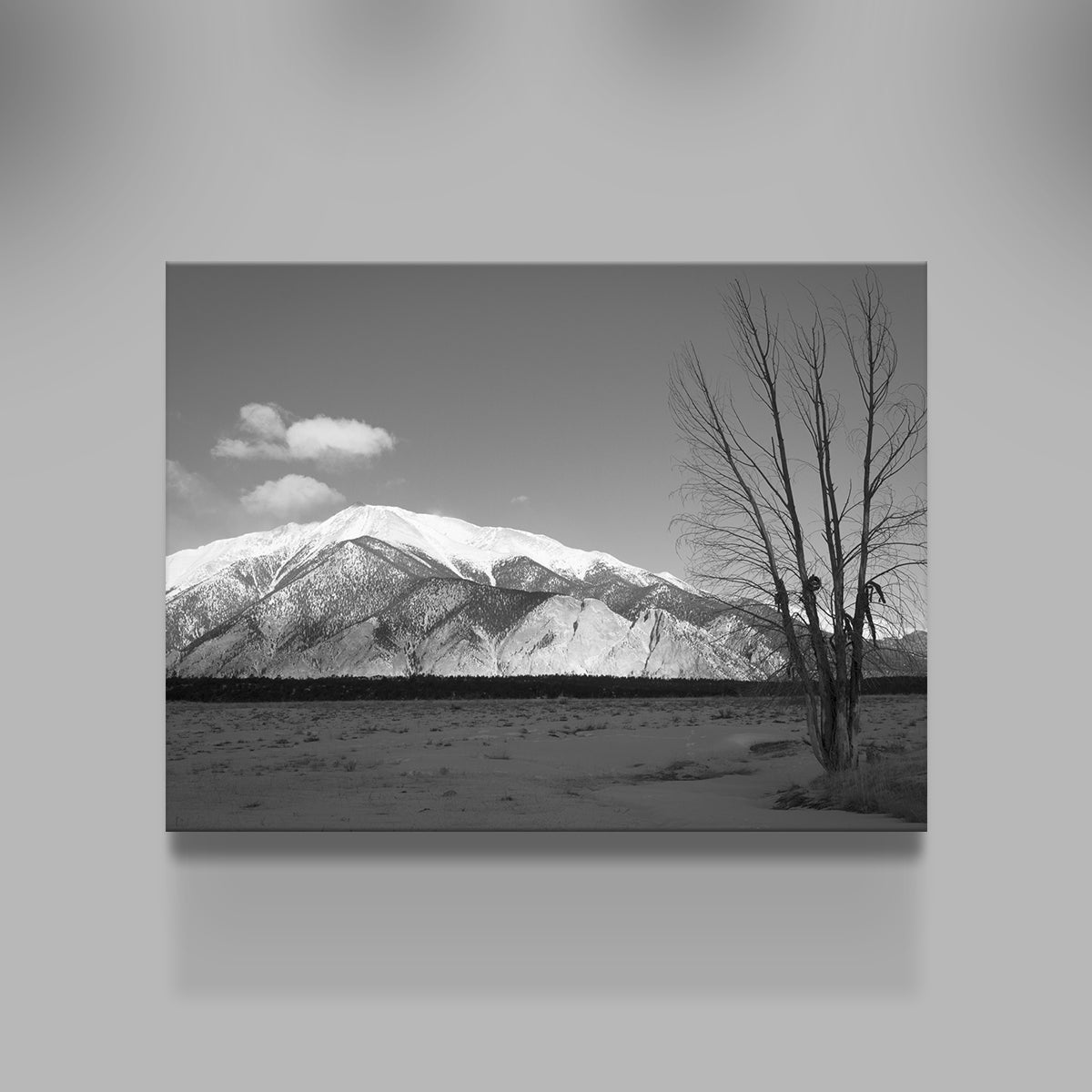 Mount Princeton Black and White Wall Art
