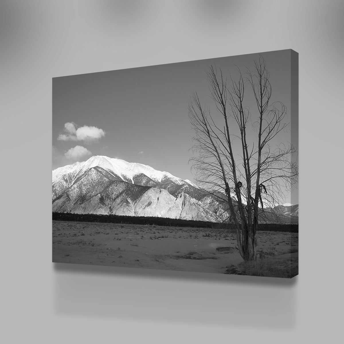 Mount Princeton Black and White Wall Art