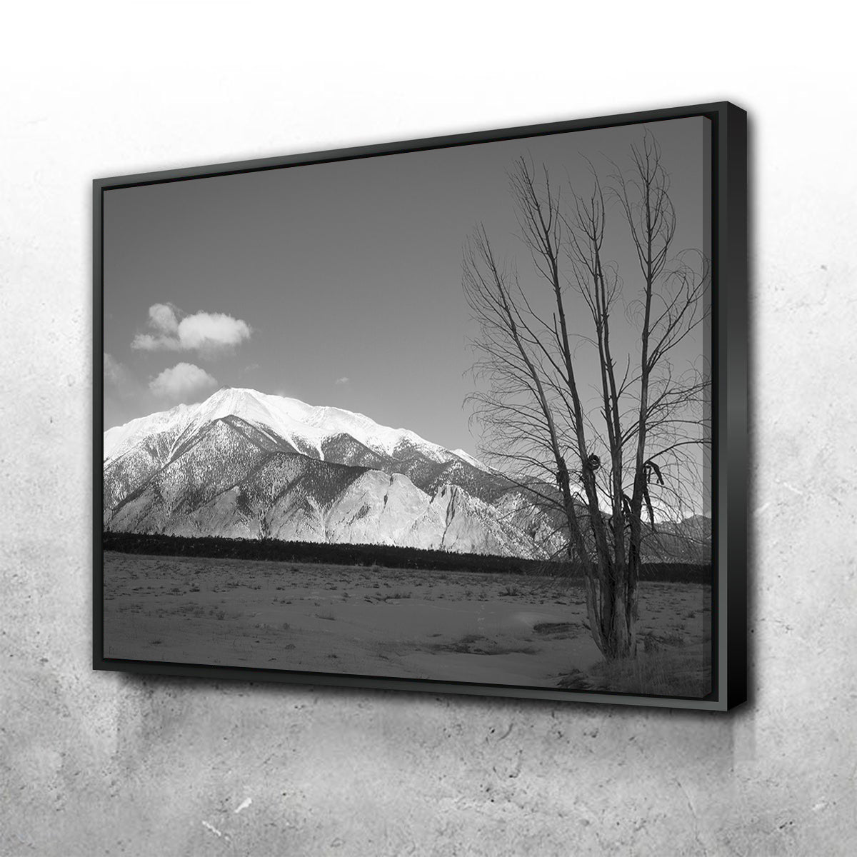 Mount Princeton Black and White Wall Art