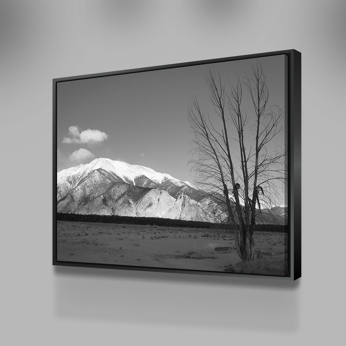 Mount Princeton Black and White Wall Art