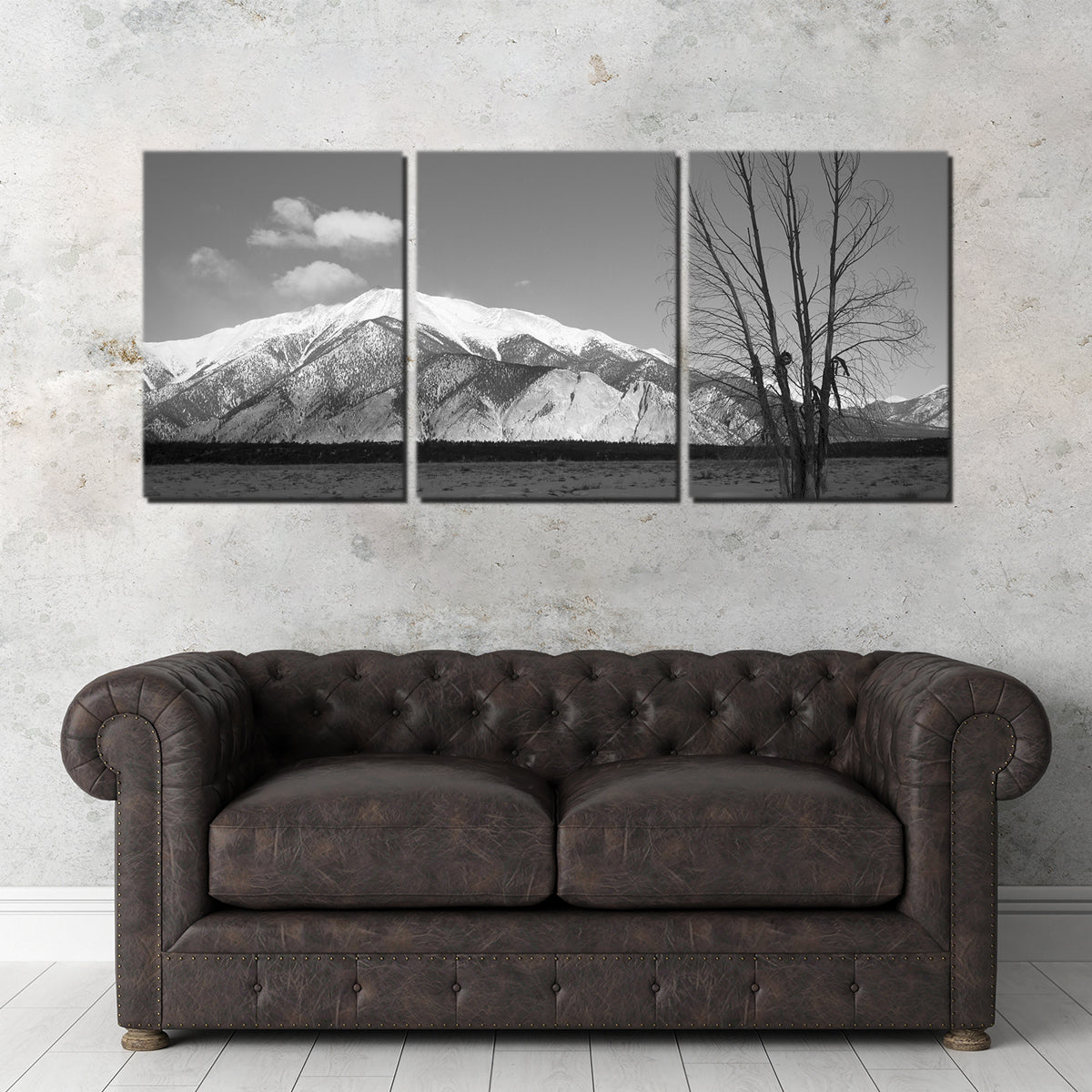 Mount Princeton Black and White Wall Art