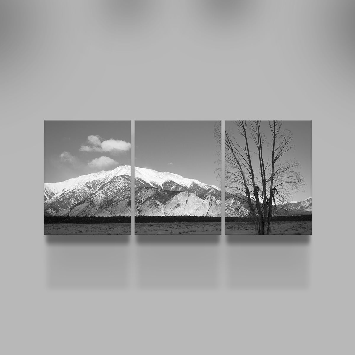 Mount Princeton Black and White Wall Art