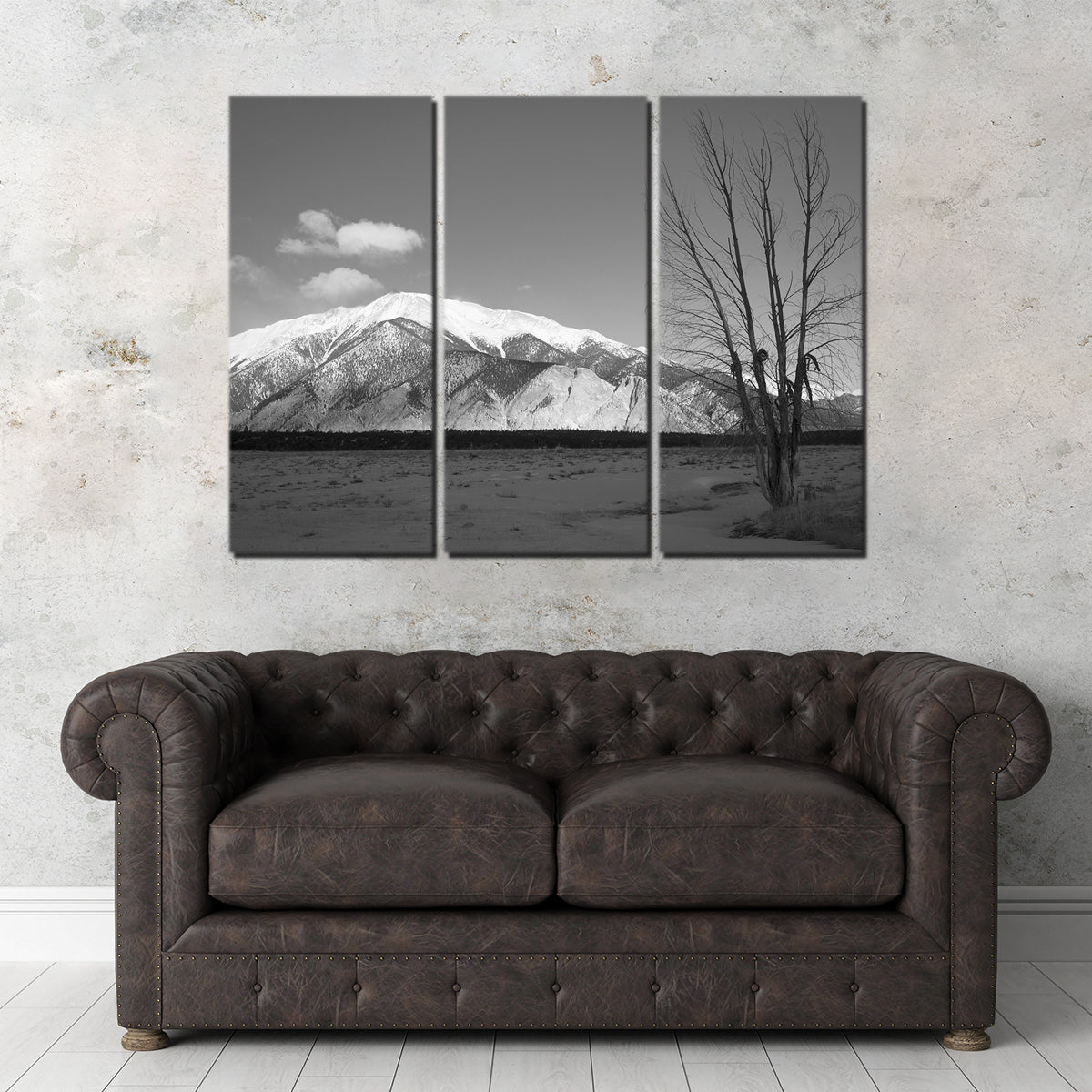 Mount Princeton Black and White Wall Art
