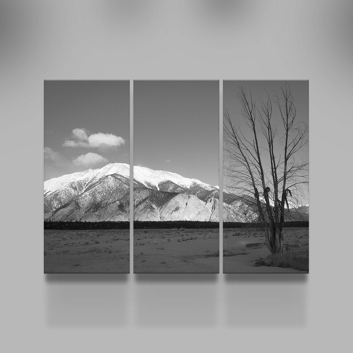 Mount Princeton Black and White Wall Art