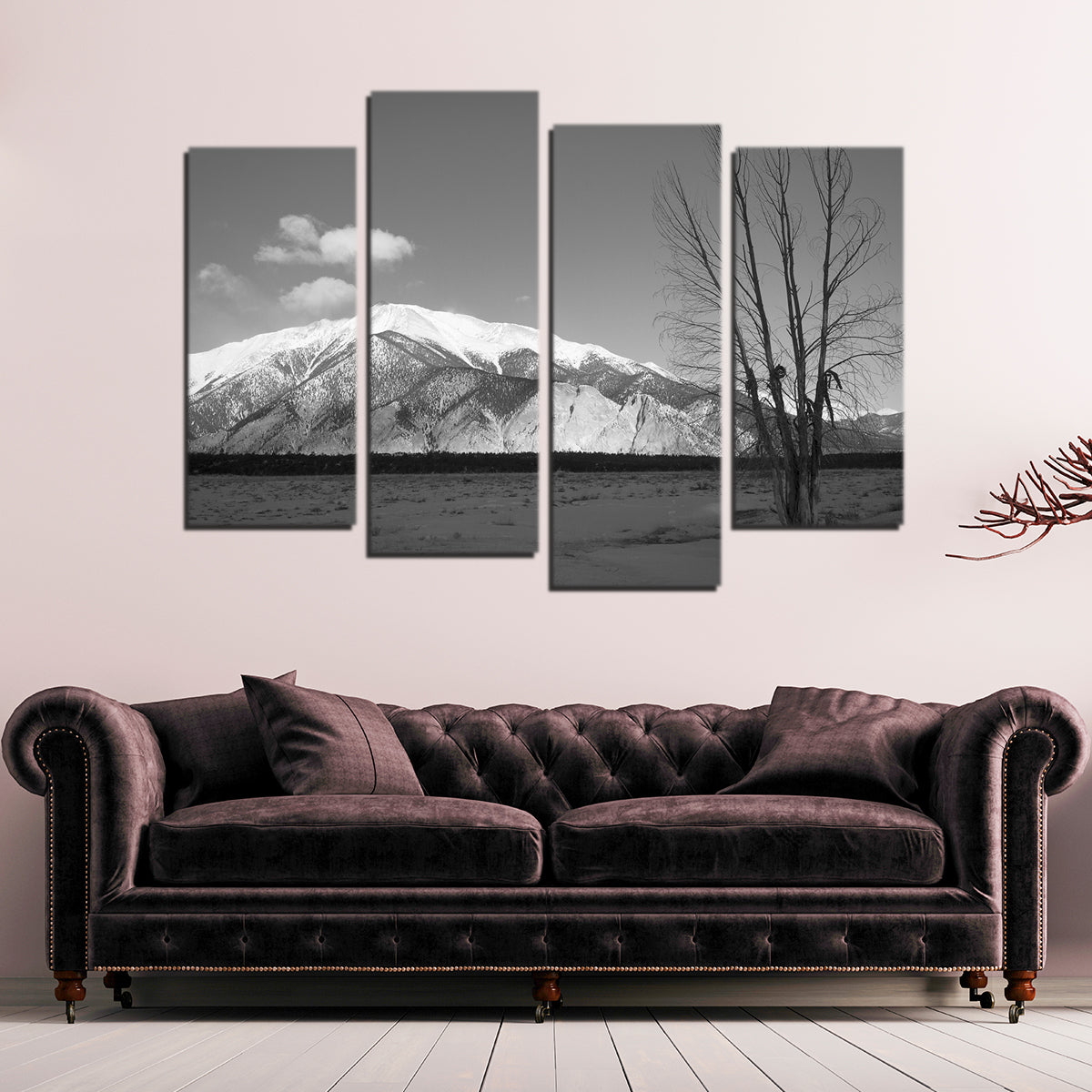 Mount Princeton Black and White Wall Art