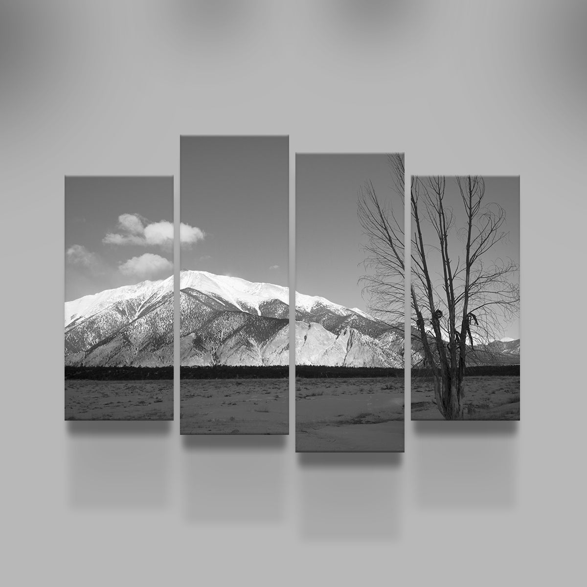 Mount Princeton Black and White Wall Art