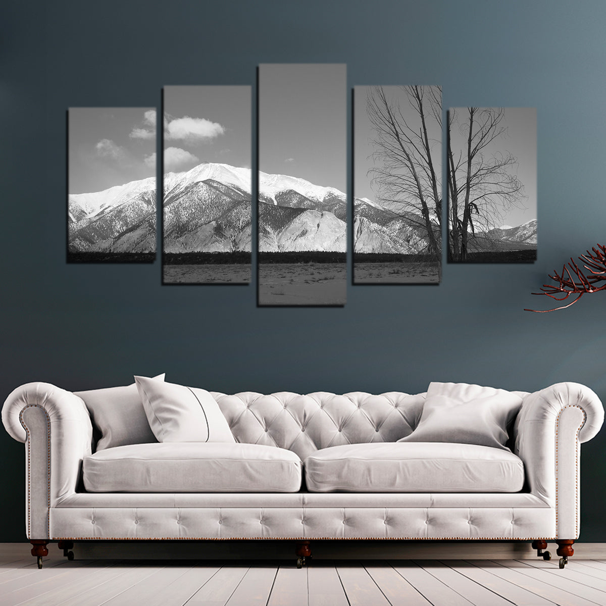 Mount Princeton Black and White Wall Art
