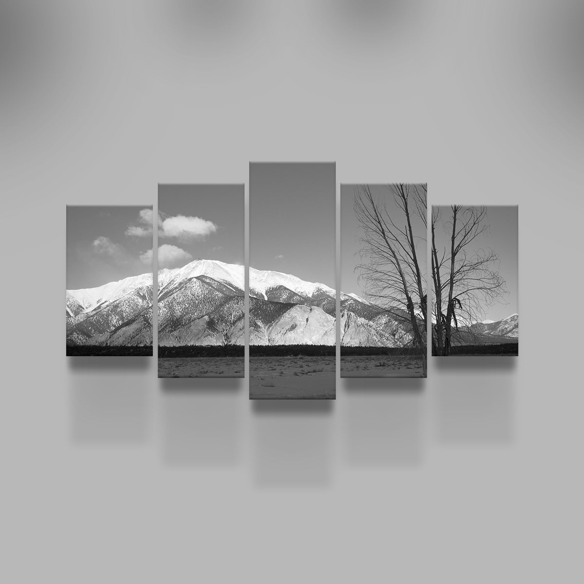 Mount Princeton Black and White Wall Art