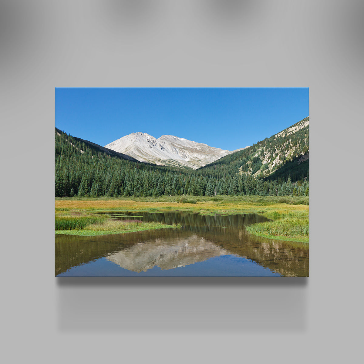 Mount Yale Wall Art