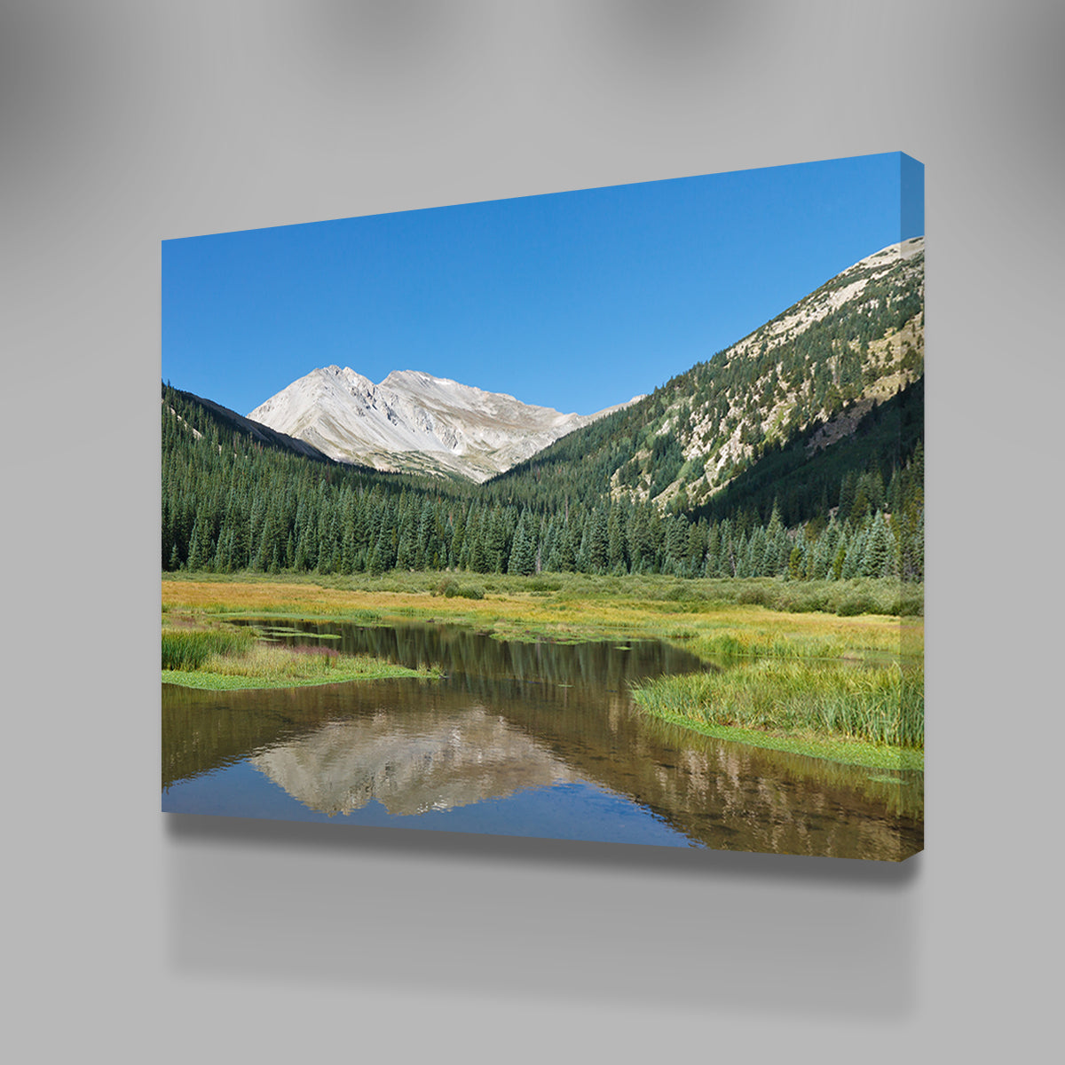 Mount Yale Wall Art