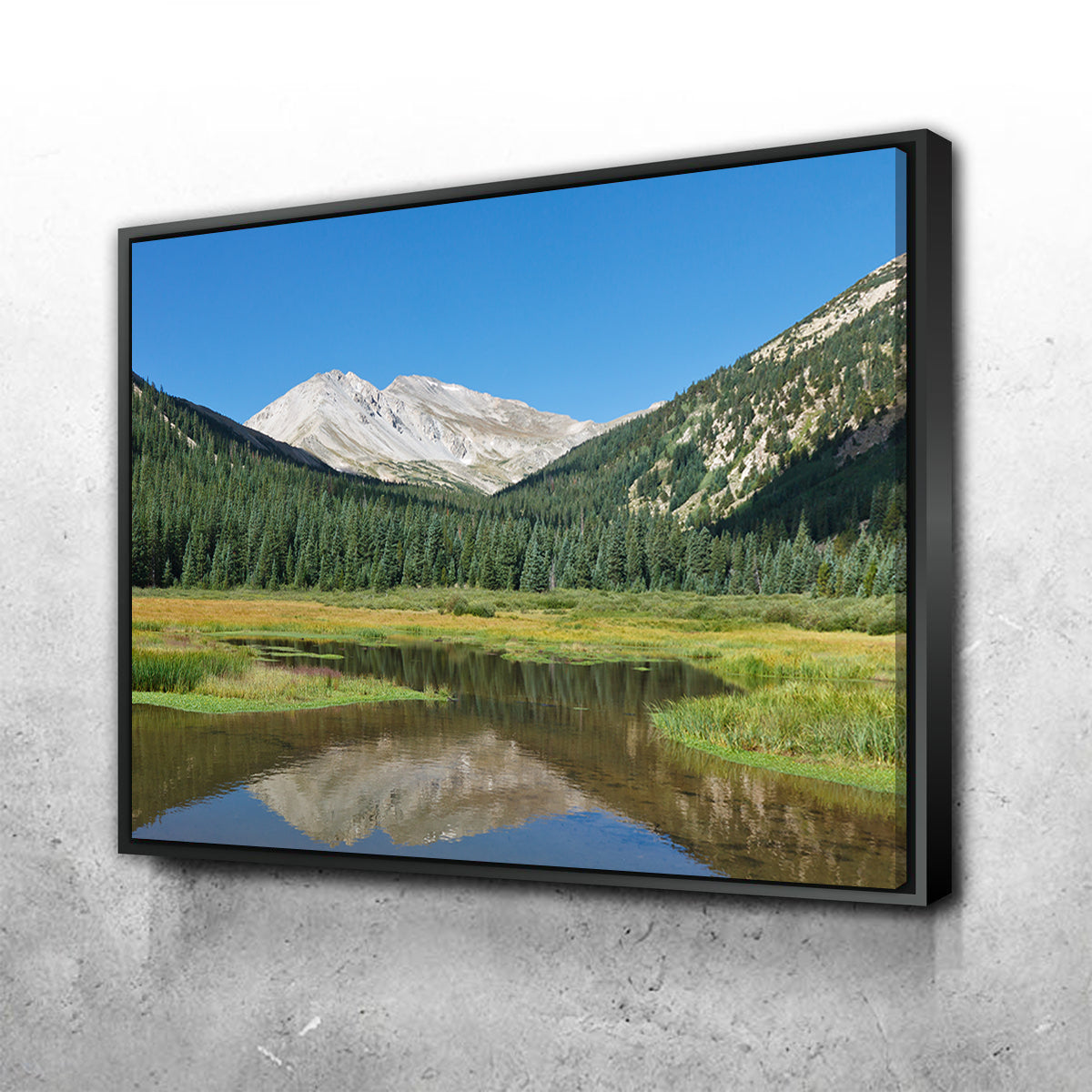 Mount Yale Wall Art