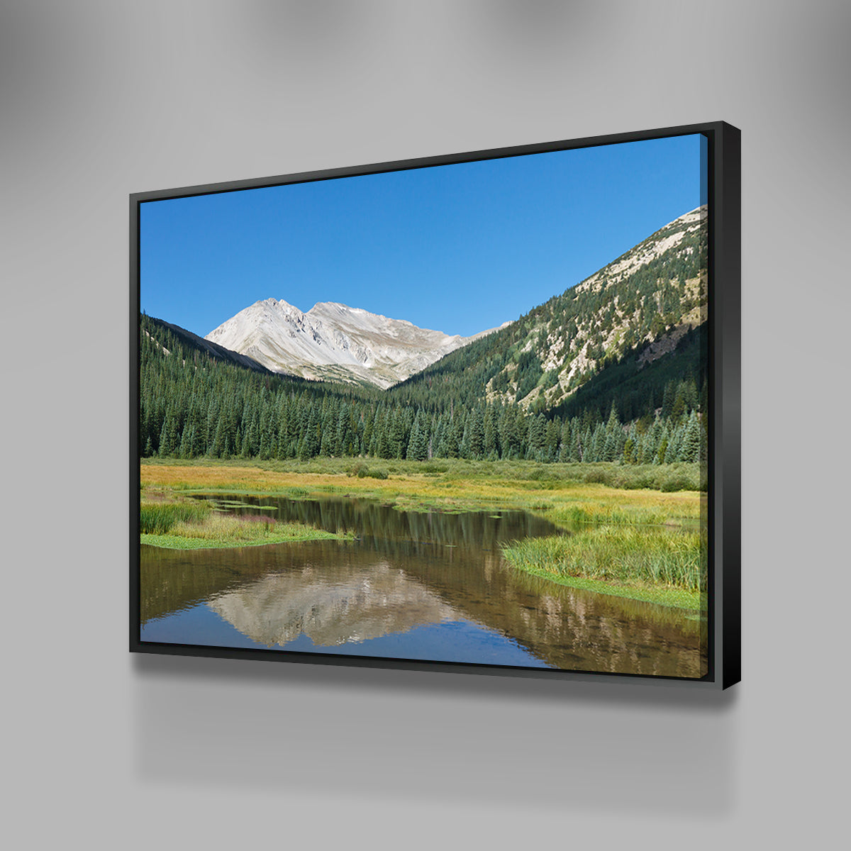 Mount Yale Wall Art