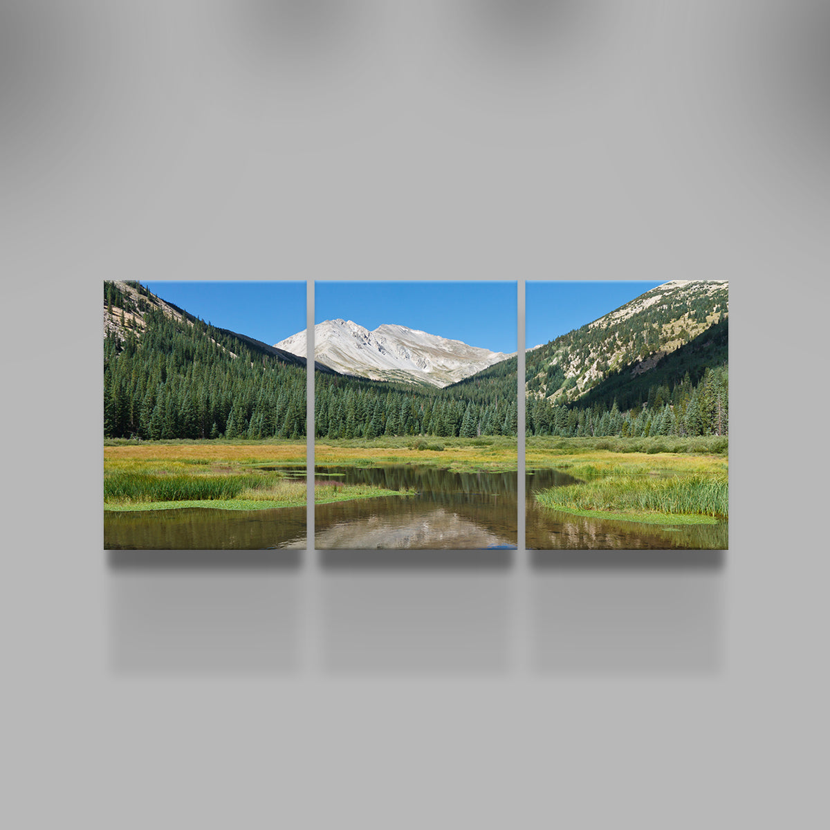 Mount Yale Wall Art