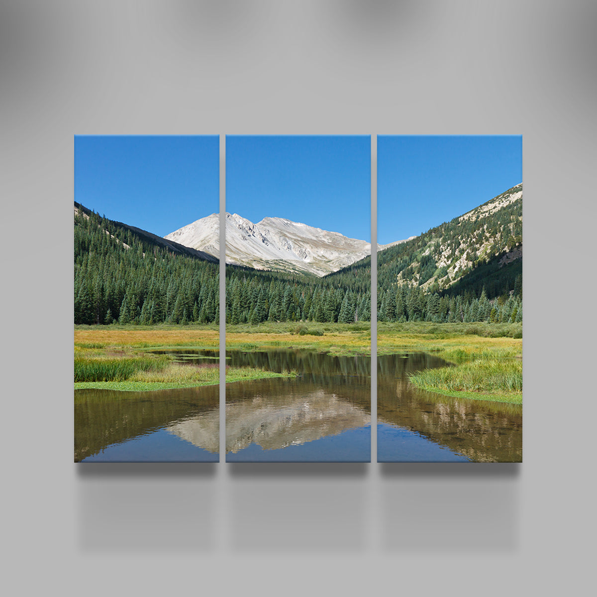 Mount Yale Wall Art