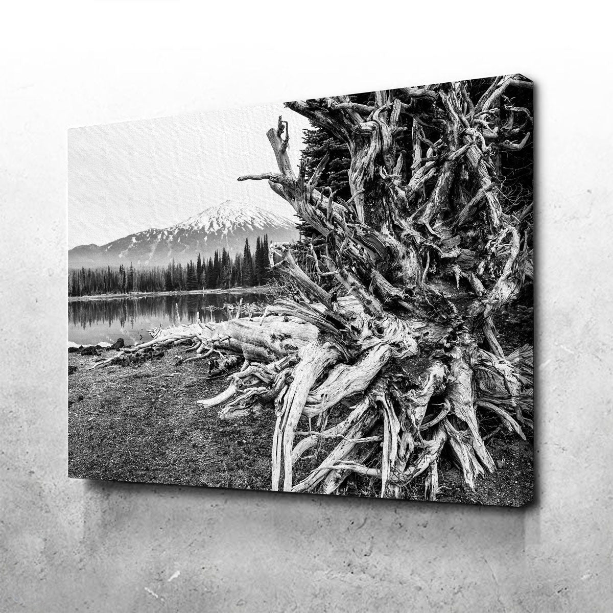 Mt. Bachelor - Sparks Lake Wall Art
